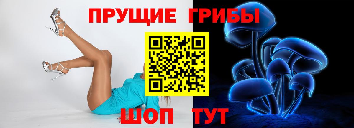 Псилоцибиновые грибы прущие грибы Тобольск
